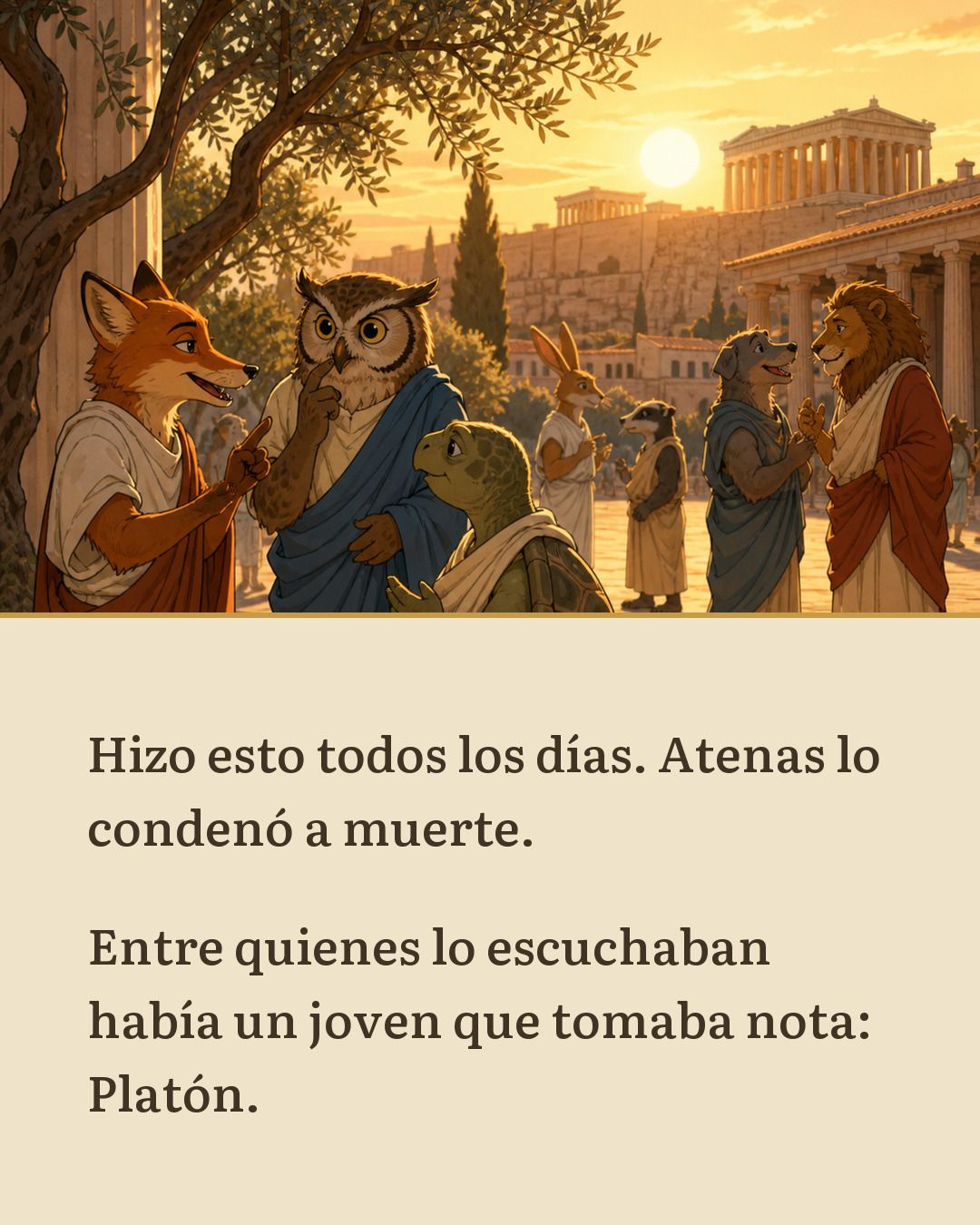 Lámina 11 de 12